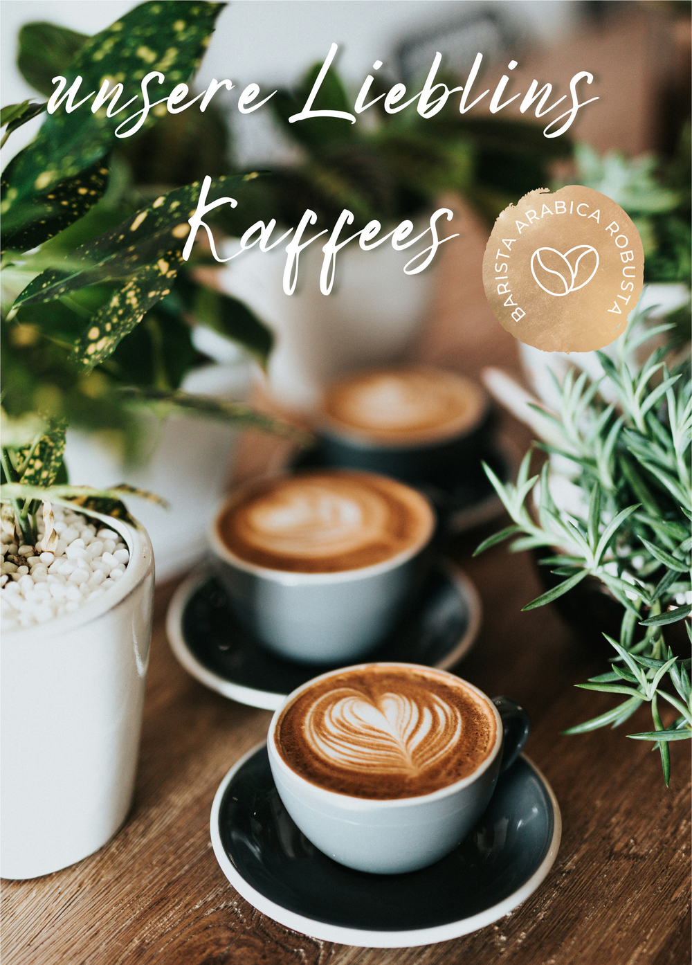 Barista Bild